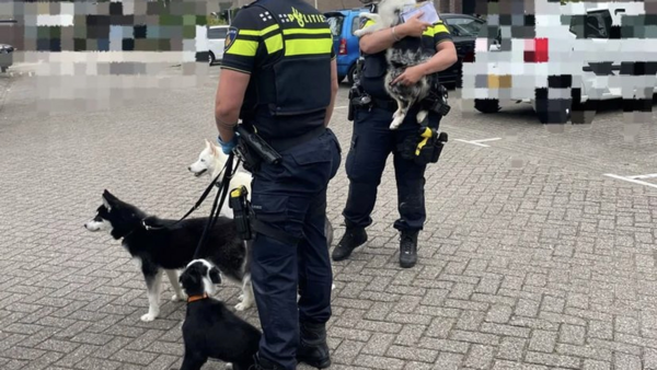 Politie