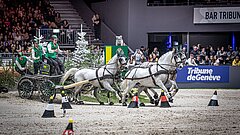FEI/Massimo Argenziano