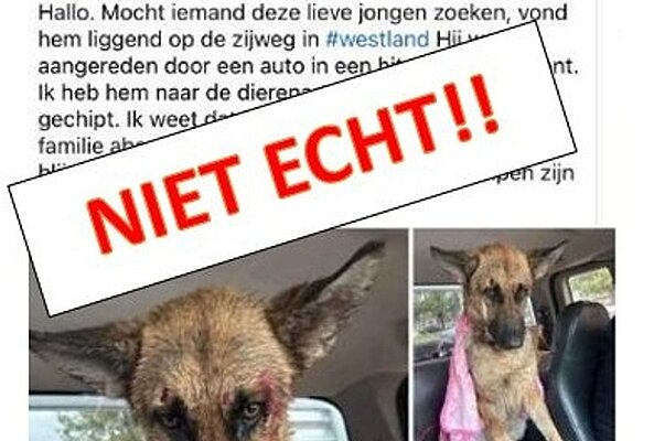 Facebook Dierenhulp Westland