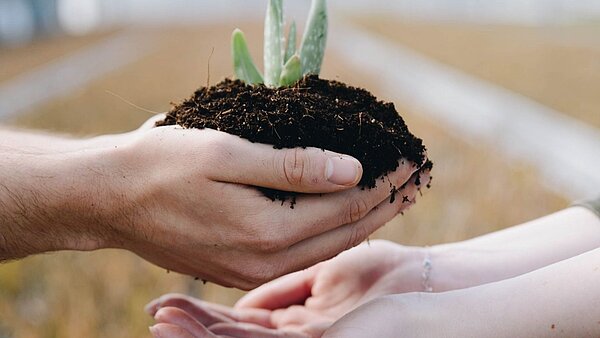 Plant a friend