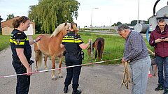 Twitter Wijkagent Maasland