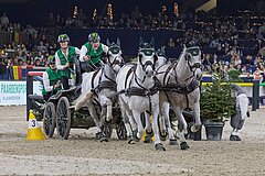 FEI/Dirk Caremans