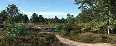 Natuurbegraven Nederland