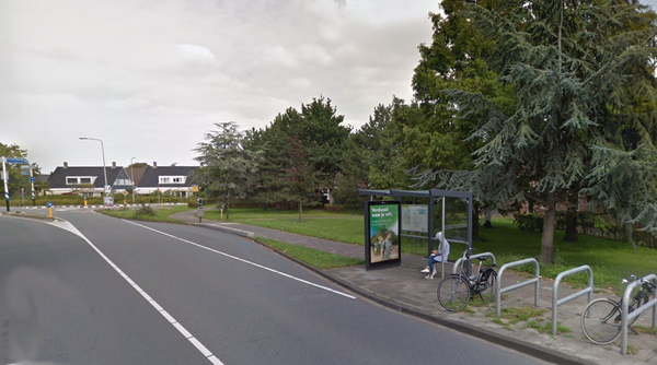 de - te korte - halte Nederhof in Honselersdijk - Foto Google Streetview