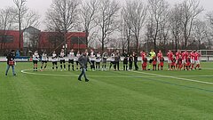 WOS/Henri van Leeuwen