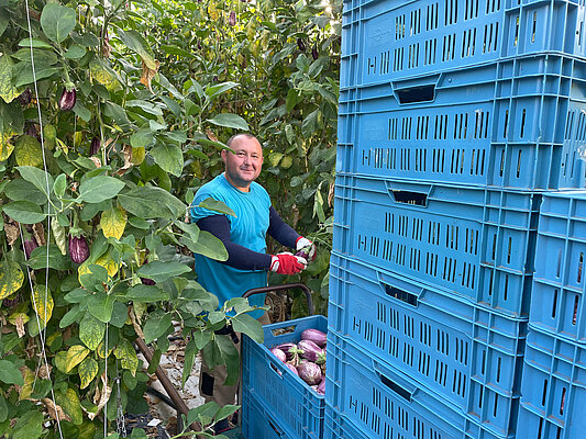 WOS - Bart van der Helm