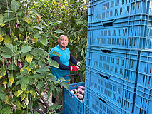 WOS - Bart van der Helm