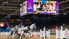 FEI/Jon Stroud Media