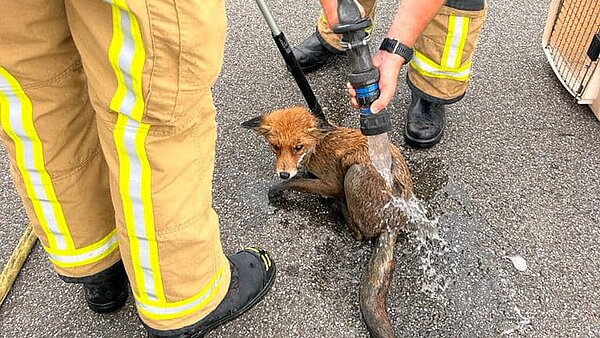 Brandweer Haaglanden - kazerne Monster