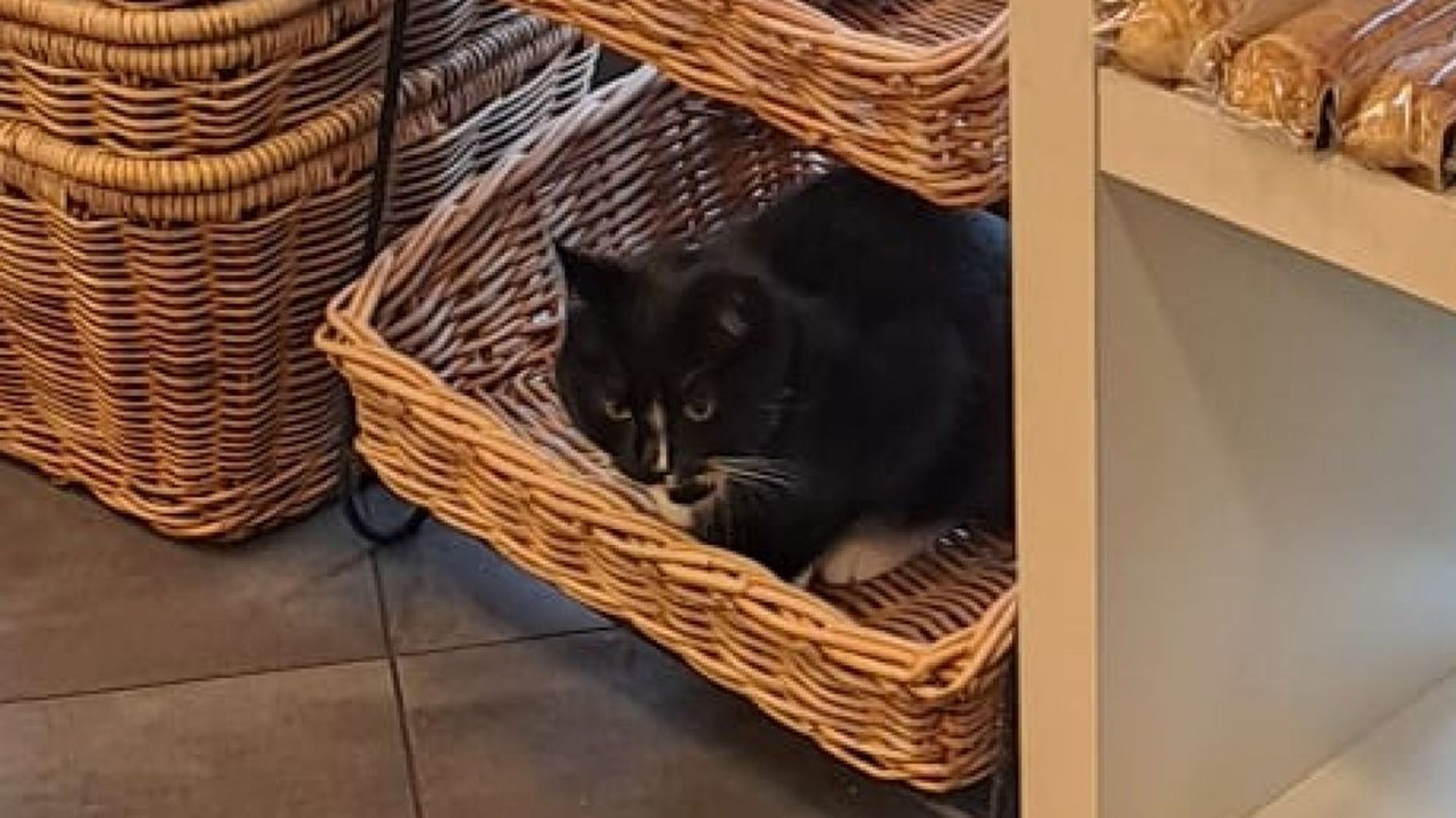 Toch even binnen bij de warme bakker.