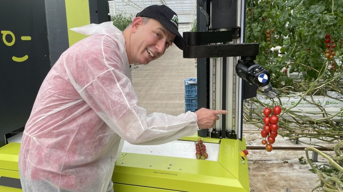 Nooit ziek en werkt zelfs 's nachts: tomatenkas heeft ideale werknemer