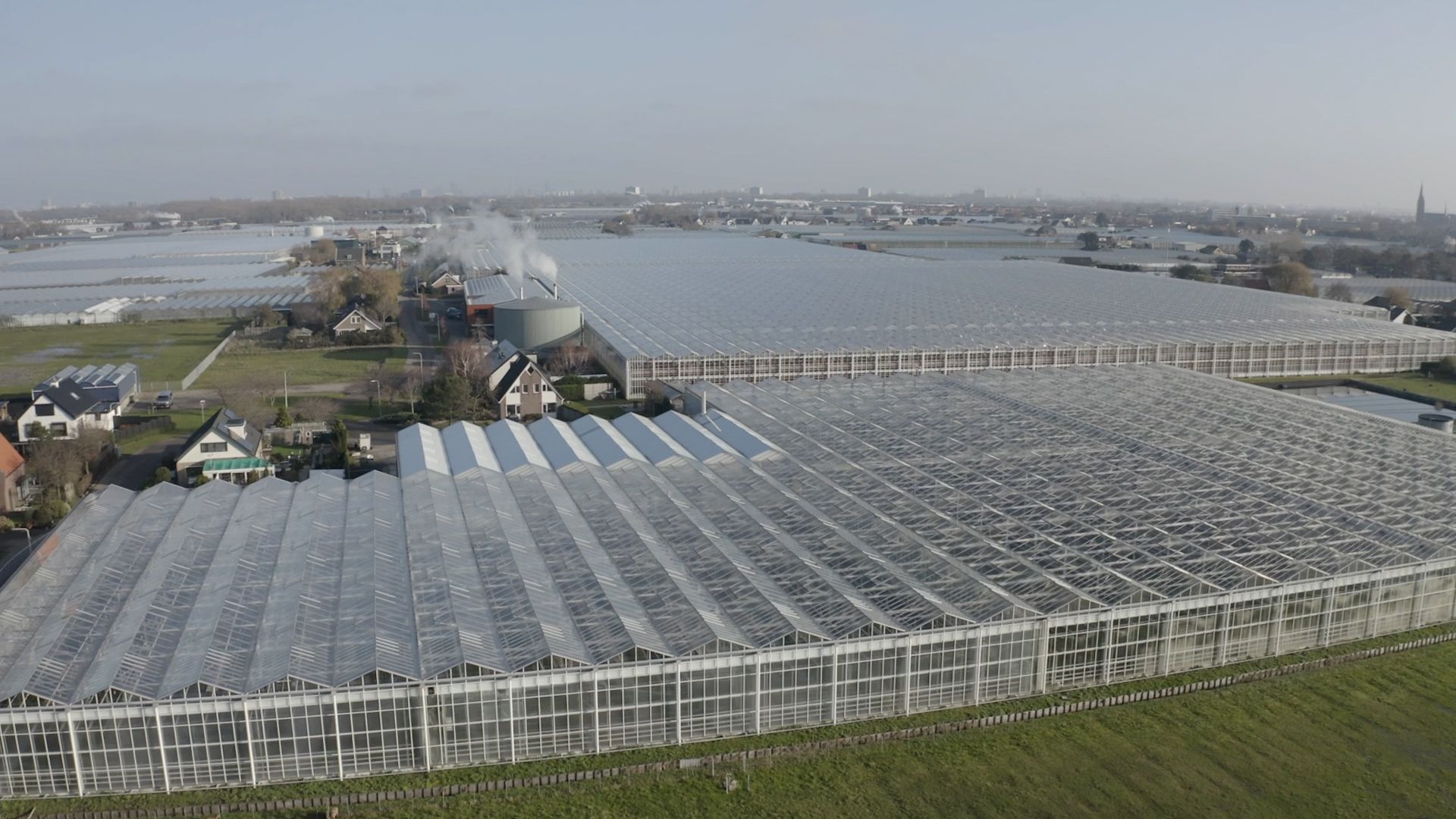 Locatie Kom in de Kas 2024 Kassen Westland