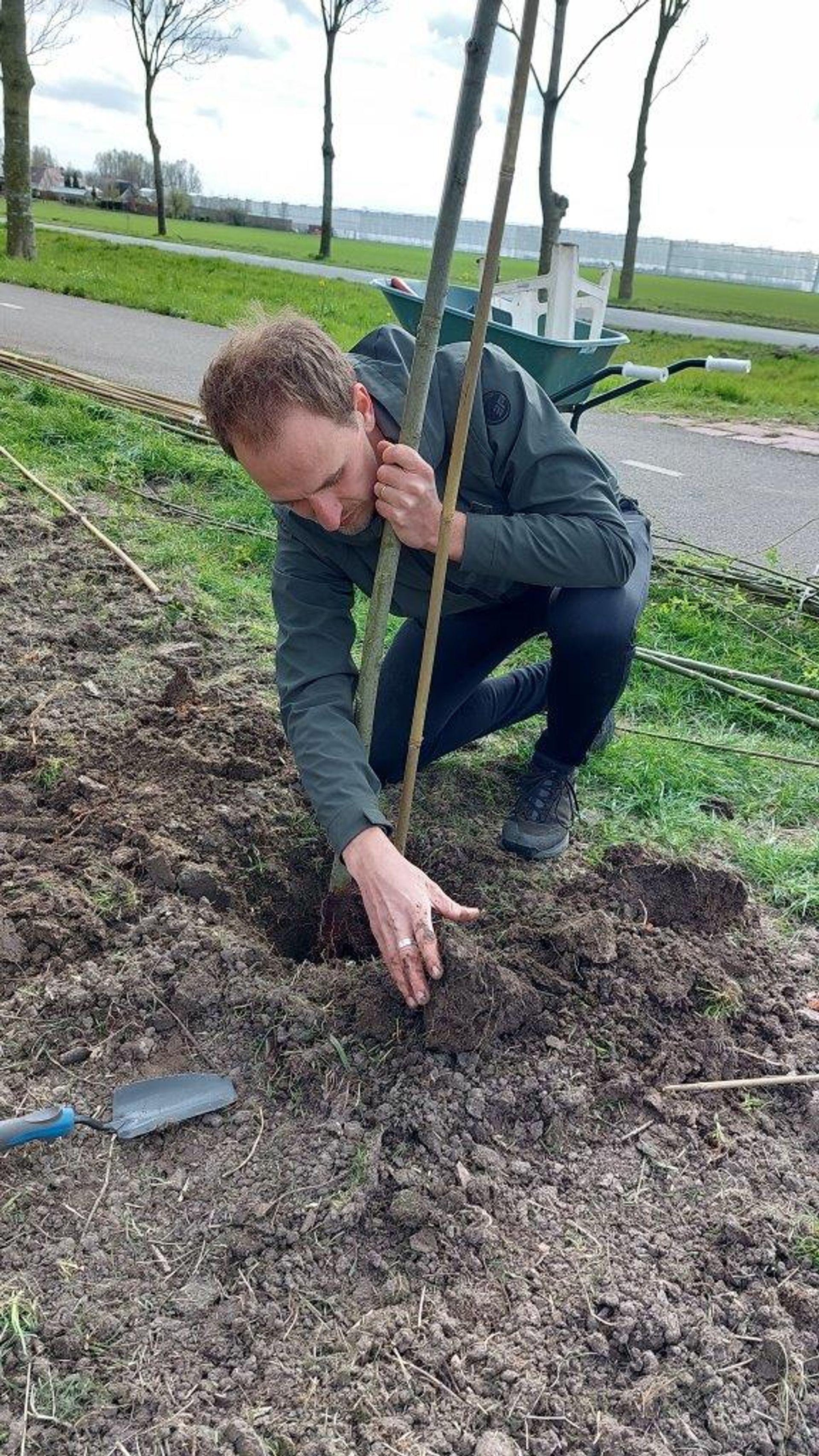 De eerste boom gaat de grond in.